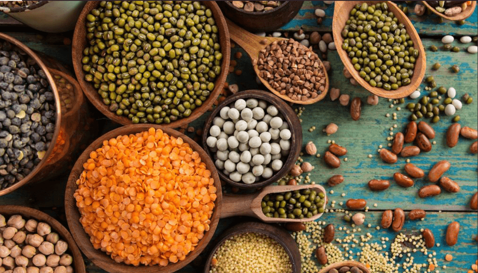 Pulses - Bereshith Exports