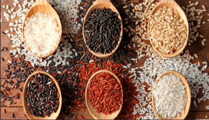 Rice Varieties - Premium rice selections from Kerala
